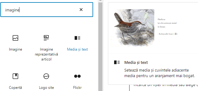 incarcare-media-si-text-in-WordPress