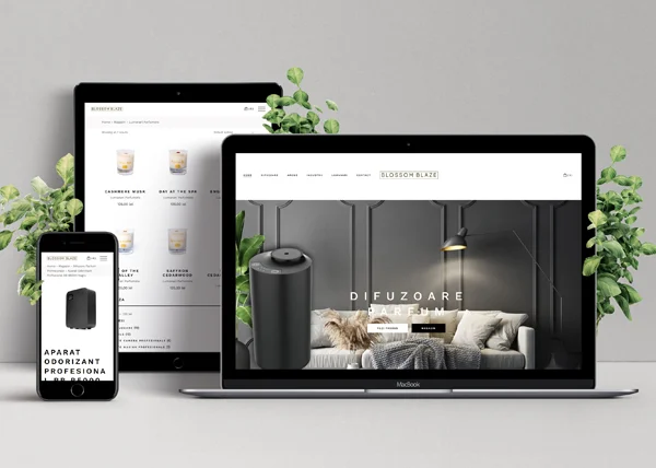realizare magazin online brasov